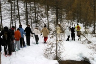  Ruta con raquetas de nieve en grupo 